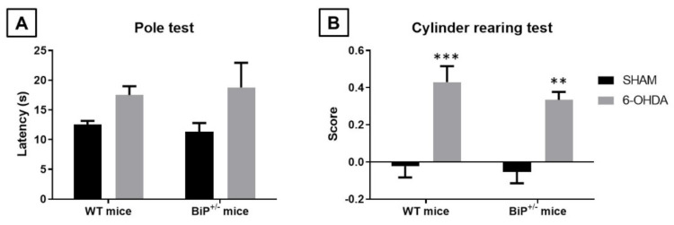 PMC8621319 – ijms-22-12533-f007