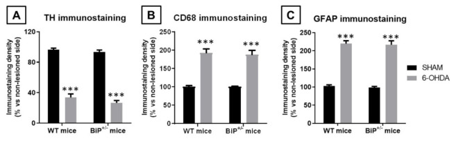 PMC8621319 – ijms-22-12533-f008