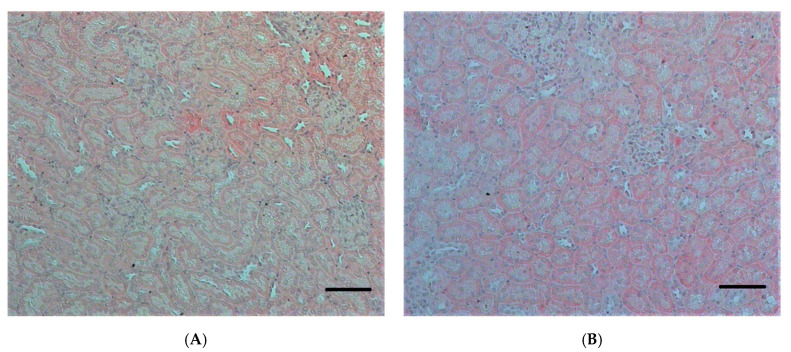 PMC8709234 – ijms-22-13625-f007