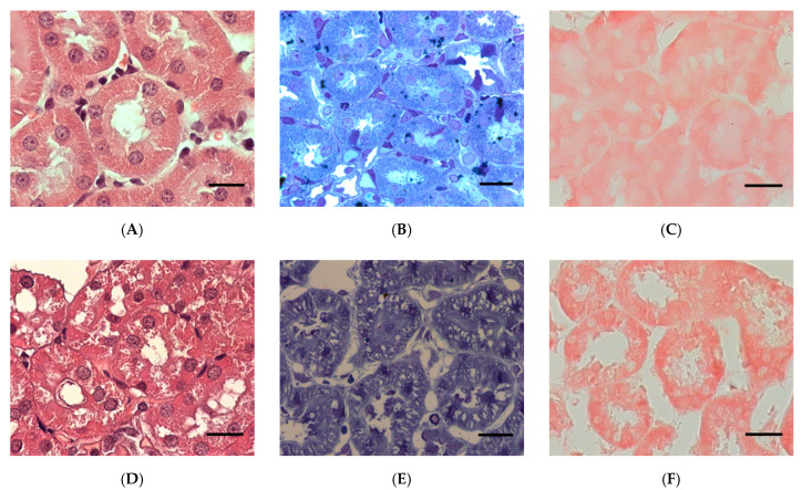 PMC8709234 – ijms-22-13625-f009