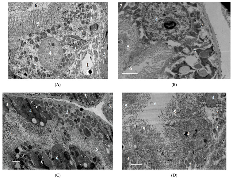 PMC8709234 – ijms-22-13625-f010