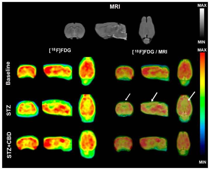PMC8835532 – ijms-23-01076-f003