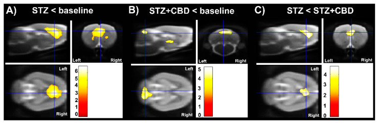 PMC8835532 – ijms-23-01076-f005