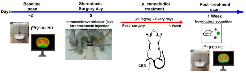 PMC8835532 – ijms-23-01076-f006