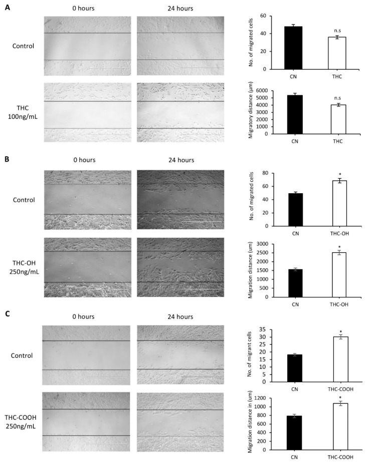 PMC8835806 – ijms-23-01401-f001