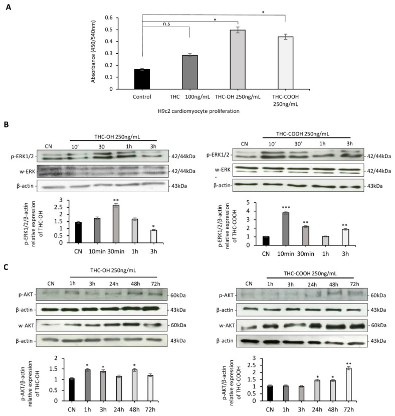 PMC8835806 – ijms-23-01401-f002