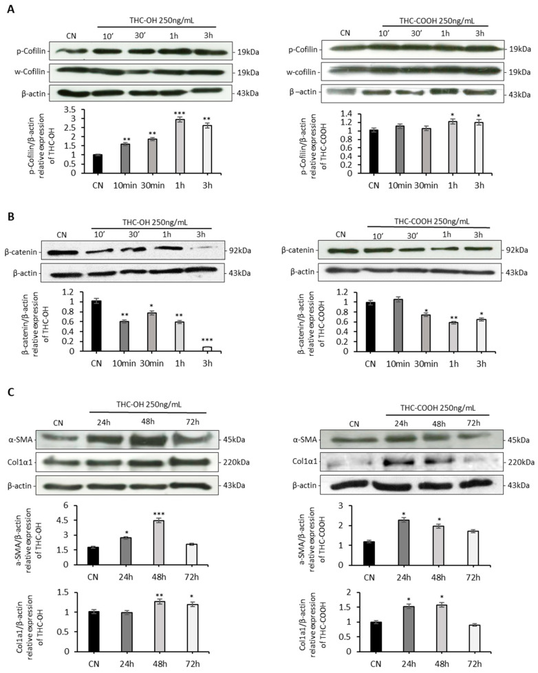 PMC8835806 – ijms-23-01401-f004