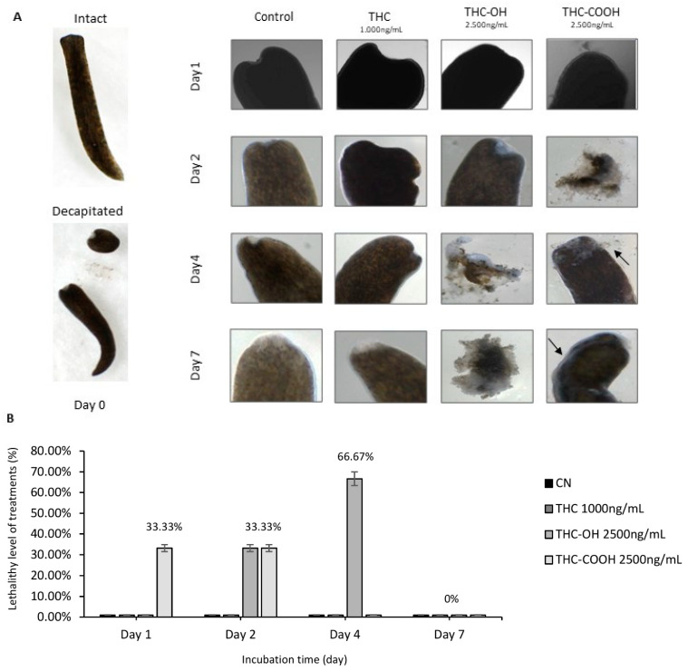 PMC8835806 – ijms-23-01401-f007