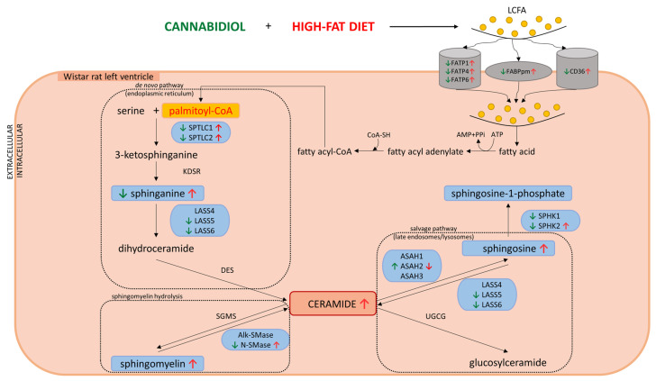 PMC8880314 – ijms-23-02232-sch001