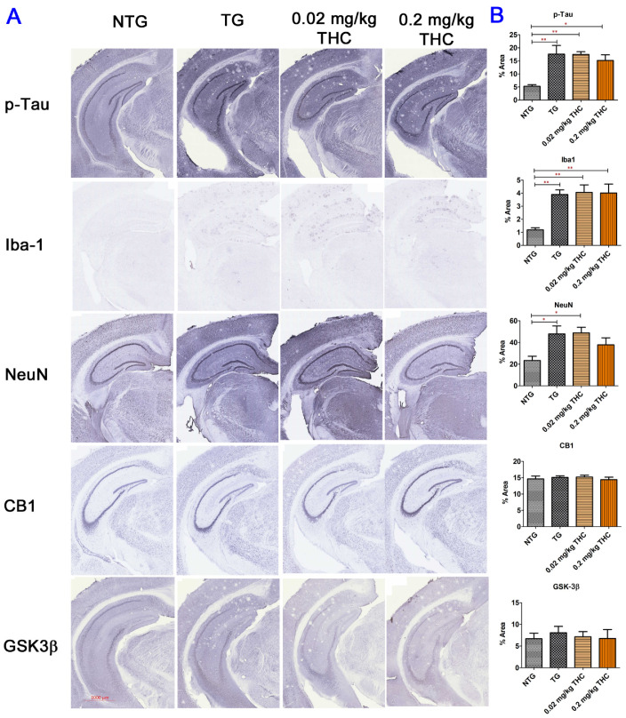 PMC8910894 – ijms-23-02757-f008