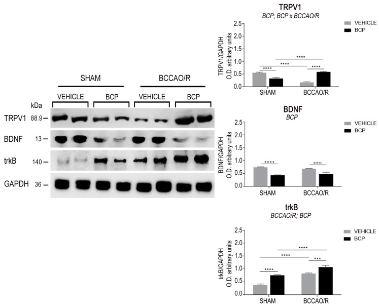PMC8998979 – ijms-23-03633-f001