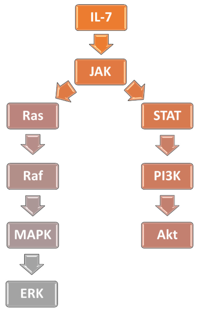 PMC8999045 – ijms-23-03795-f001