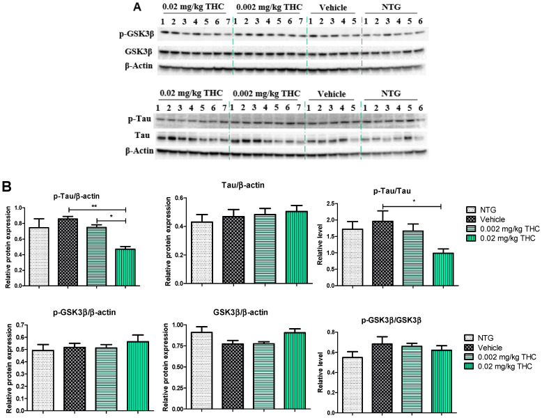 PMC9029288 – ijms-23-04253-f005