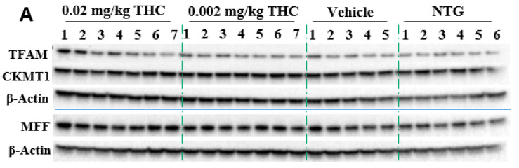 PMC9029288 – ijms-23-04253-f006
