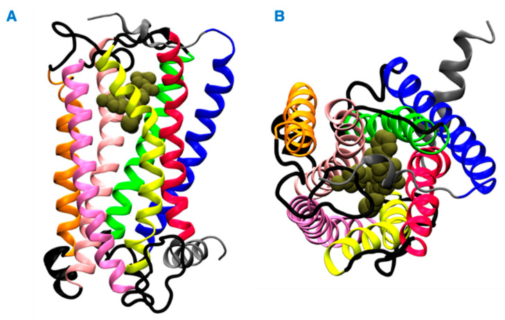 PMC9026873 – ijms-23-04291-f001