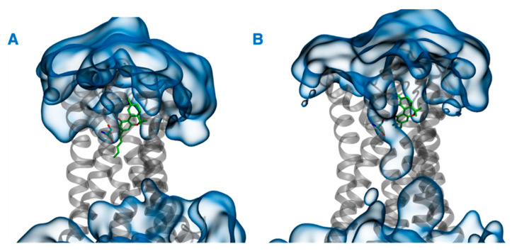 PMC9026873 – ijms-23-04291-f010