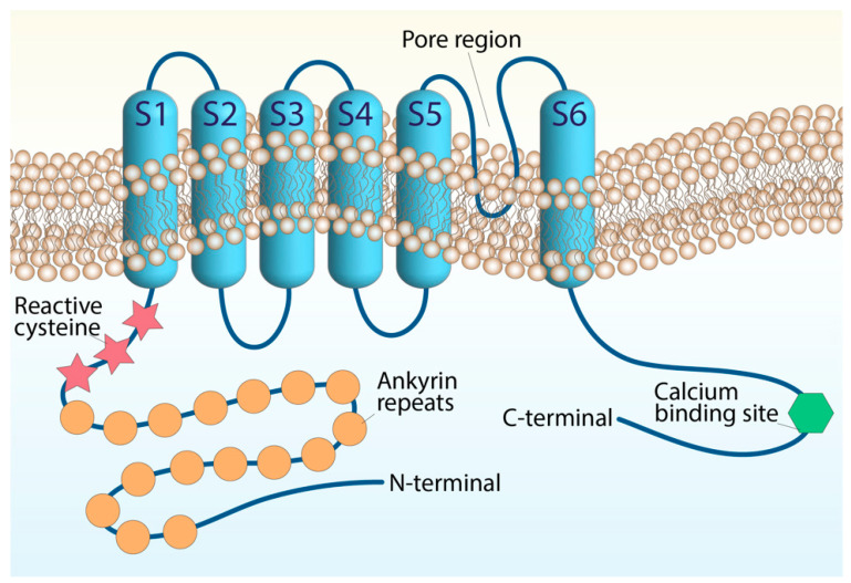 PMC9101260 – ijms-23-04529-f001