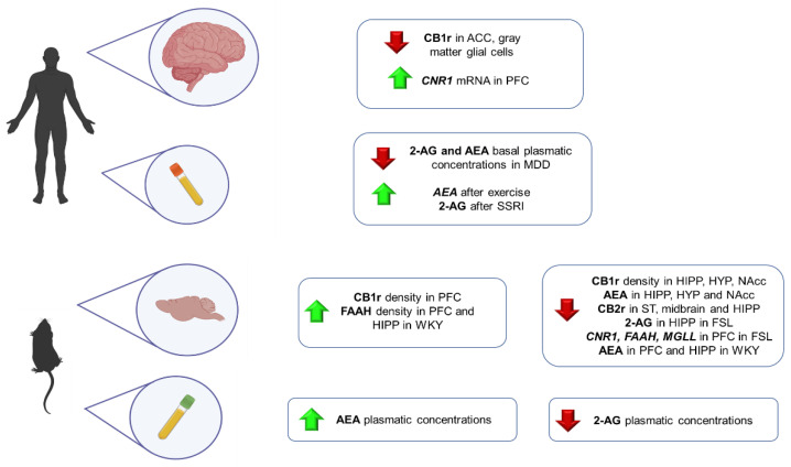 PMC9104141 – ijms-23-04764-f003