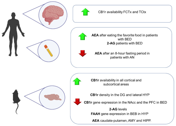 PMC9104141 – ijms-23-04764-f007