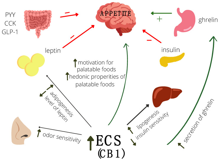 PMC9106013 – ijms-23-05159-f001