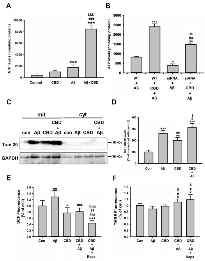 PMC9140666 – ijms-23-05367-f008