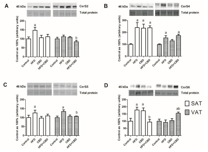 PMC9142011 – ijms-23-05382-f003