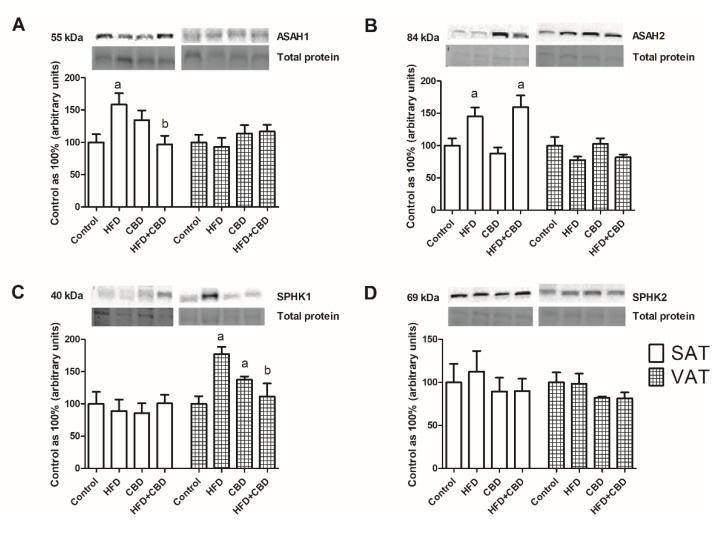 PMC9142011 – ijms-23-05382-f004