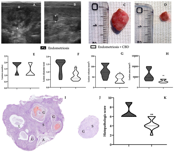PMC9141153 – ijms-23-05427-f001