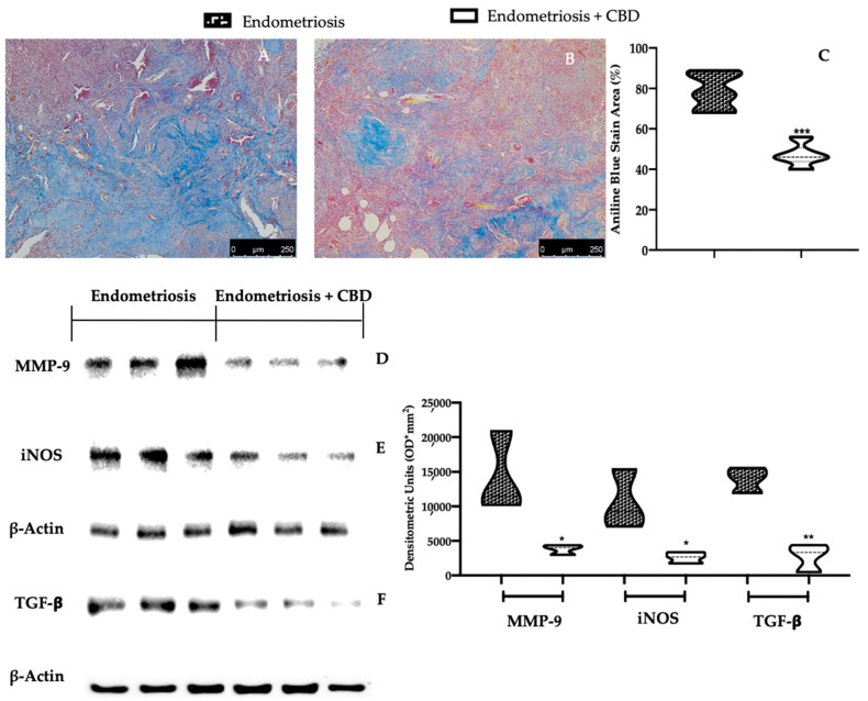 PMC9141153 – ijms-23-05427-f003