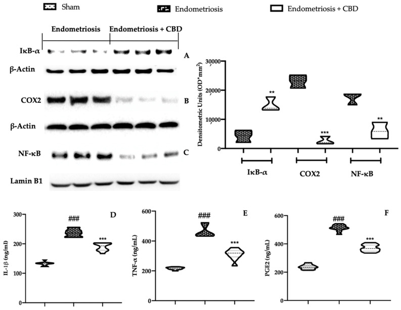 PMC9141153 – ijms-23-05427-f004
