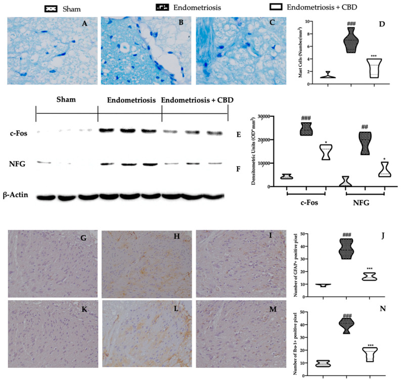 PMC9141153 – ijms-23-05427-f005