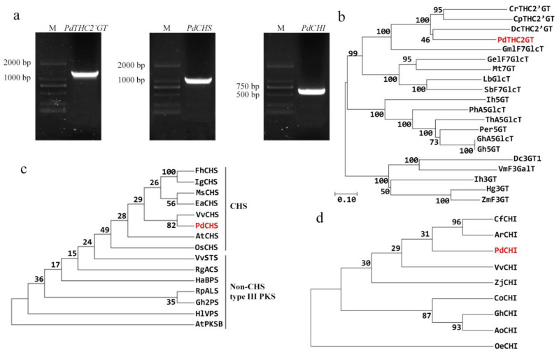 PMC9147737 – ijms-23-05696-f001
