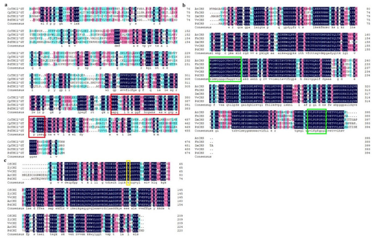 PMC9147737 – ijms-23-05696-f002