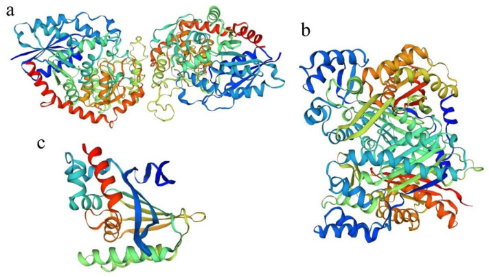 PMC9147737 – ijms-23-05696-f003