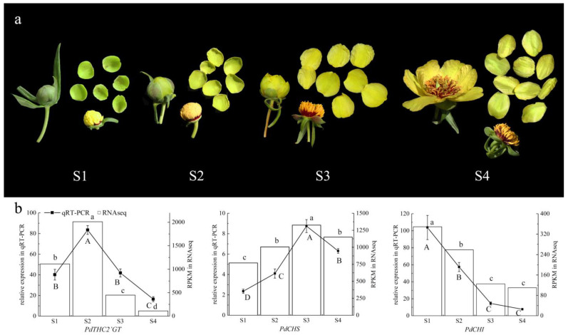 PMC9147737 – ijms-23-05696-f004