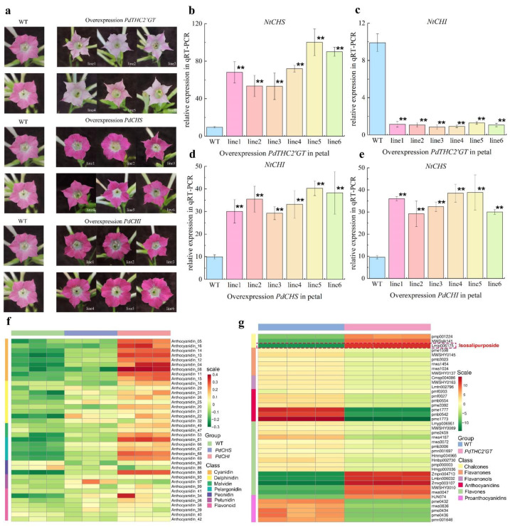 PMC9147737 – ijms-23-05696-f007