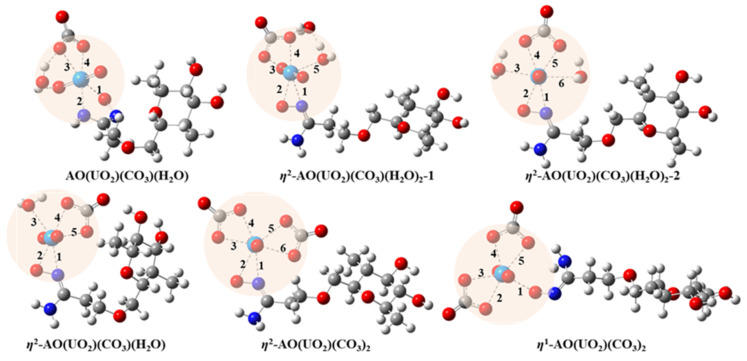 PMC9223365 – ijms-23-06517-f006