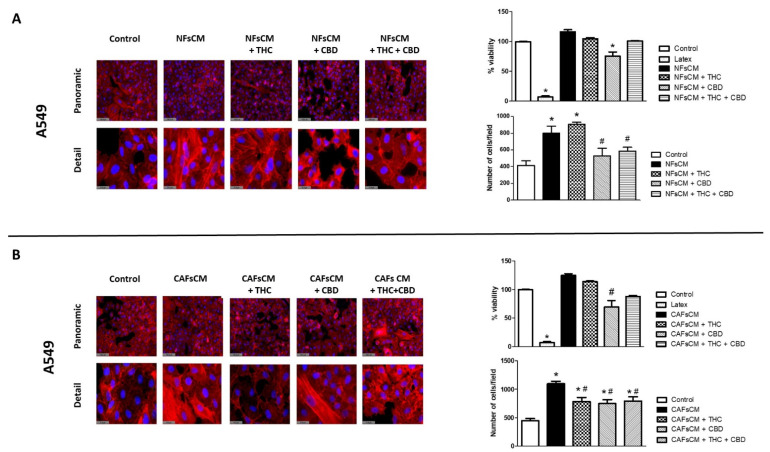 PMC9223514 – ijms-23-06766-f003