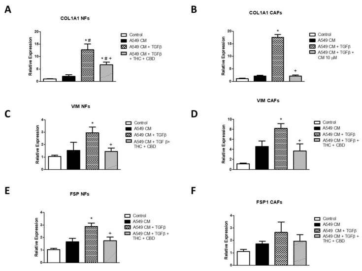 PMC9223514 – ijms-23-06766-f007
