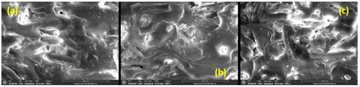 PMC9266345 – ijms-23-06925-f010