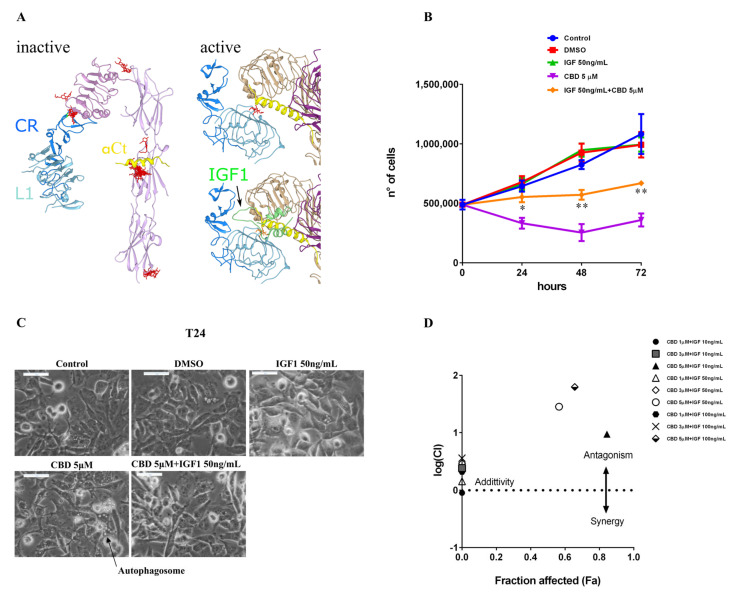 PMC9266539 – ijms-23-07145-f007