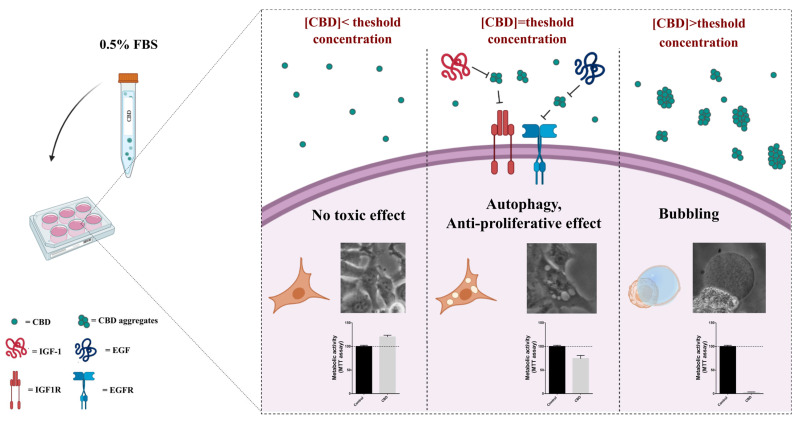 PMC9266539 – ijms-23-07145-f008