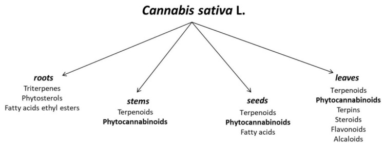 PMC9322760 – ijms-23-07929-f001