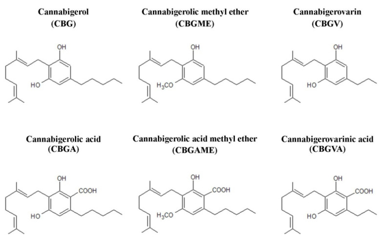 PMC9322760 – ijms-23-07929-f002