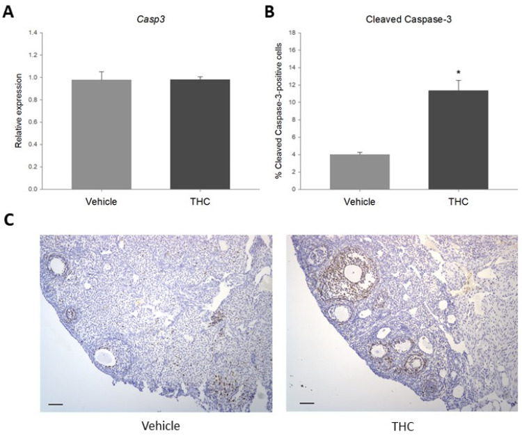 PMC9323798 – ijms-23-08000-f004