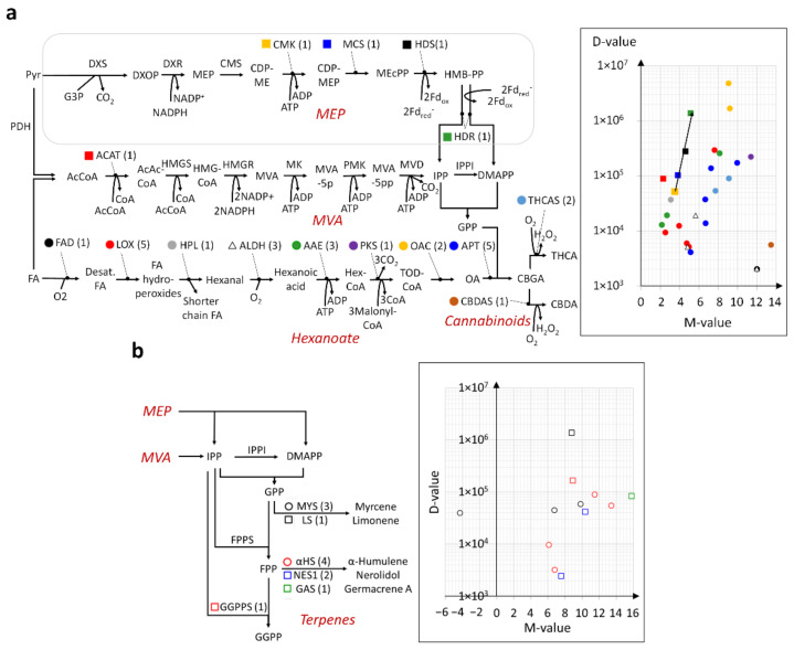 PMC9368916 – ijms-23-08310-f003