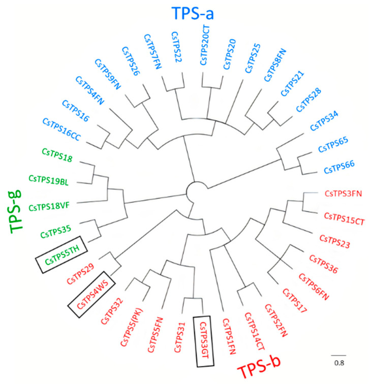 PMC9368916 – ijms-23-08310-f005