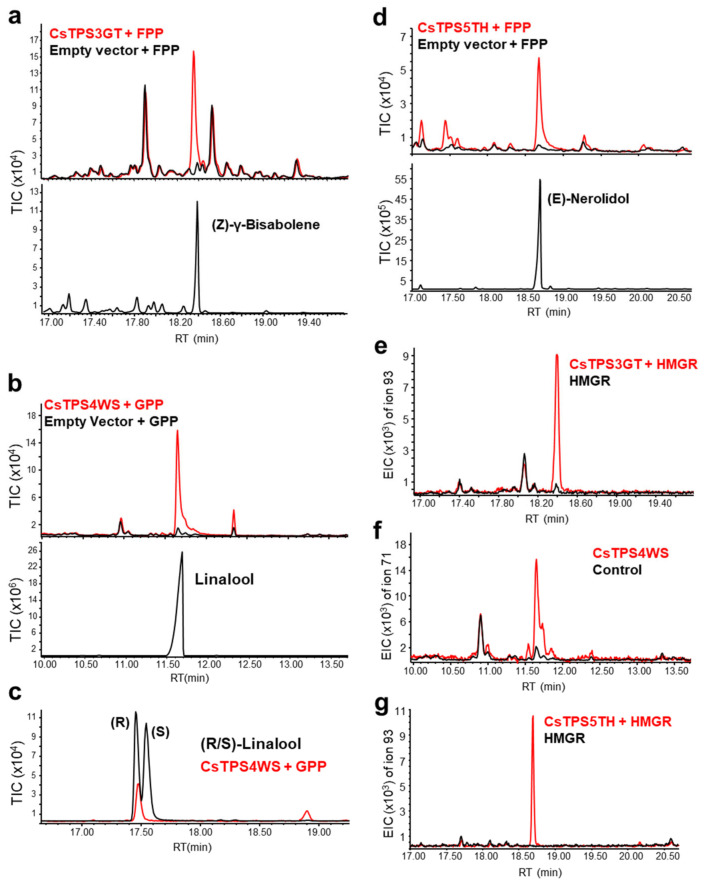 PMC9368916 – ijms-23-08310-f007