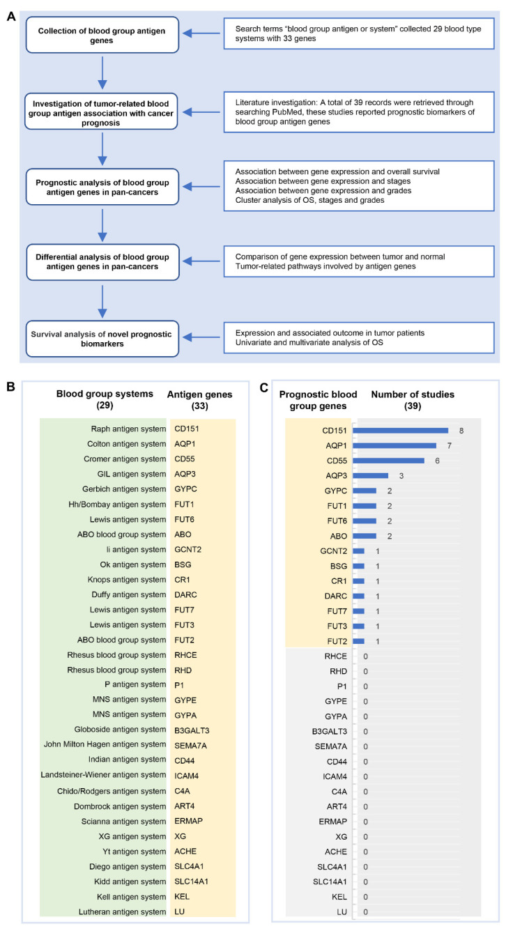 PMC9369114 – ijms-23-08799-f001