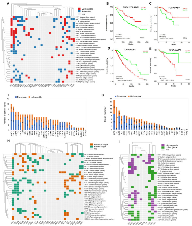 PMC9369114 – ijms-23-08799-f003